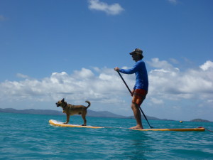 Stanley on the paddle board.